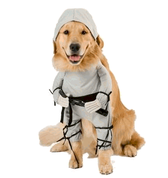 ninjadog.png